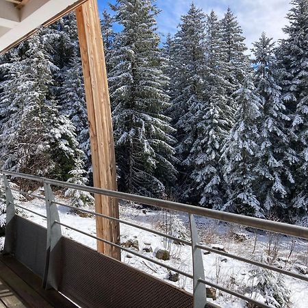 Studio Chamrousse 1700 Pour 4 Personnes - Au Calme - Avec Wifi Экстерьер фото